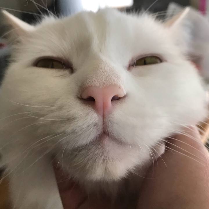 04b7ab93 3bf9 4774 a009 53d8f62a4439 1546651671984