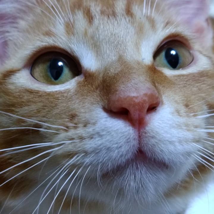 04b7b23b 26e0 4d5c 9c9d 5c7a12bb889b 1619226661871