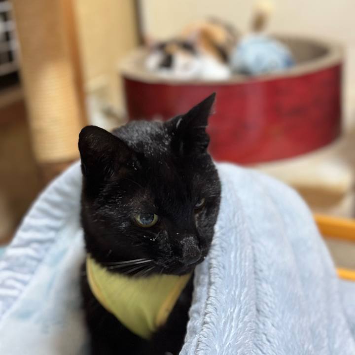 04b7b6fd c6e0 45ef b955 ba22b35682d0 1715220908775