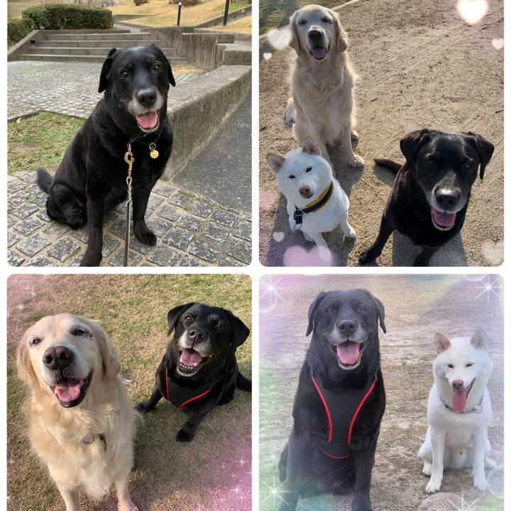 04b7ba71 6bea 4fc4 b968 ec2872cdb240 1654980334421