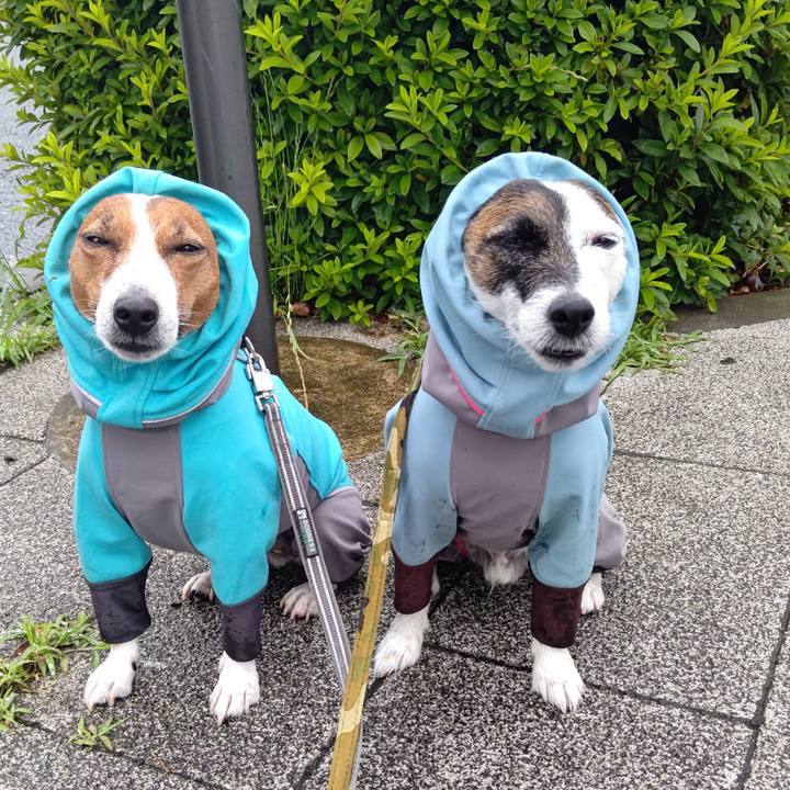 04b7e0a2 5677 425c 9c99 dd2bdf95f6c2 1686266782331