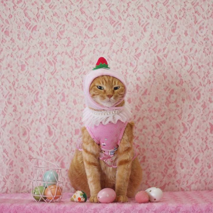 04b7e170 cb3d 4ece aa20 7dc50966749a 1656838255038