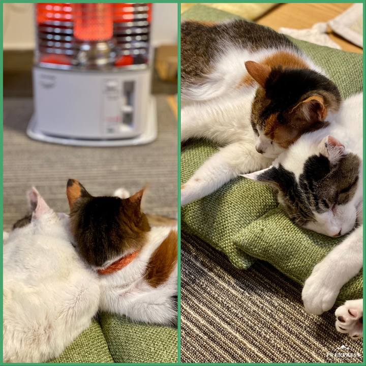 04b7f036 78d7 4f4e b9a4 b59d2e115cc2 1674984089495