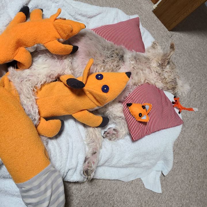 04b84612 bc0e 4156 9559 42d47e24871a 1682997007613