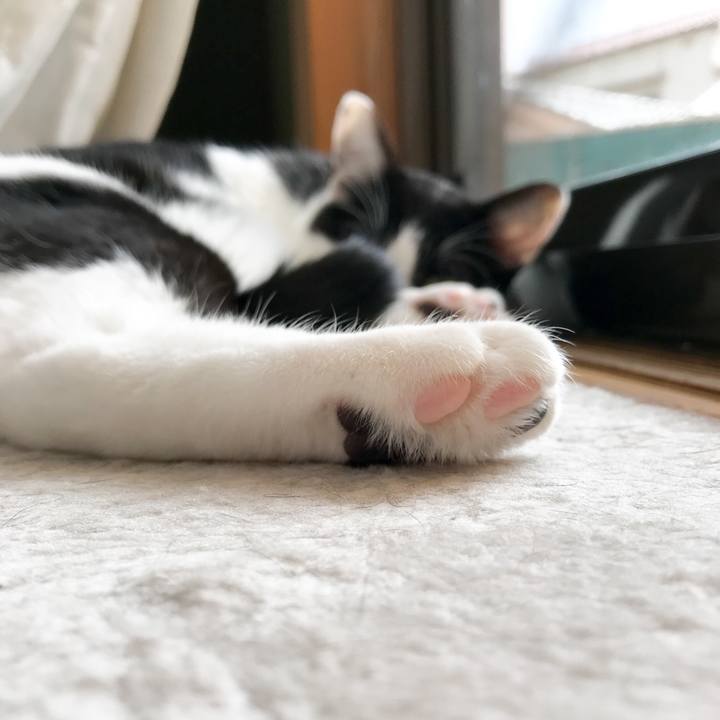 04b84e1a 8dd7 4595 b1b5 f2ac9405c826 1522767378244