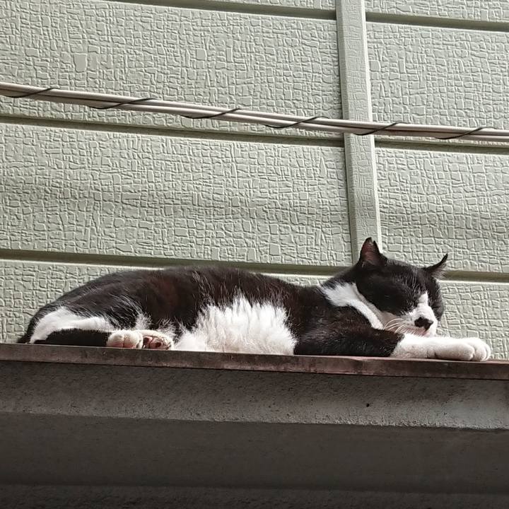 04b889e3 a09b 4b44 abdd ae5cc2ea3f95 1696900227276