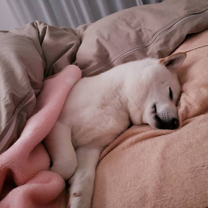 04b8b505 44ec 4d53 9034 df7c395768fb 1549717577587