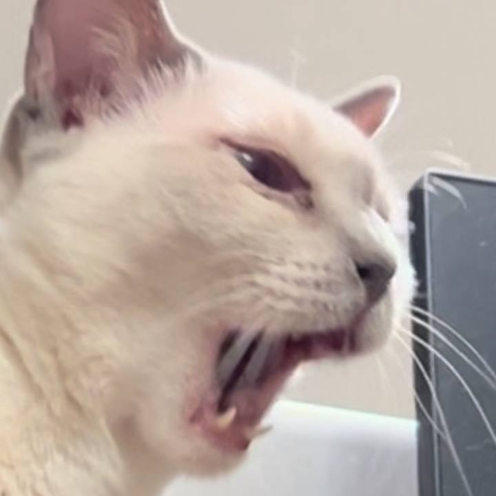 04b8c80f 264d 4976 bd43 97379f70770f 1742971914385