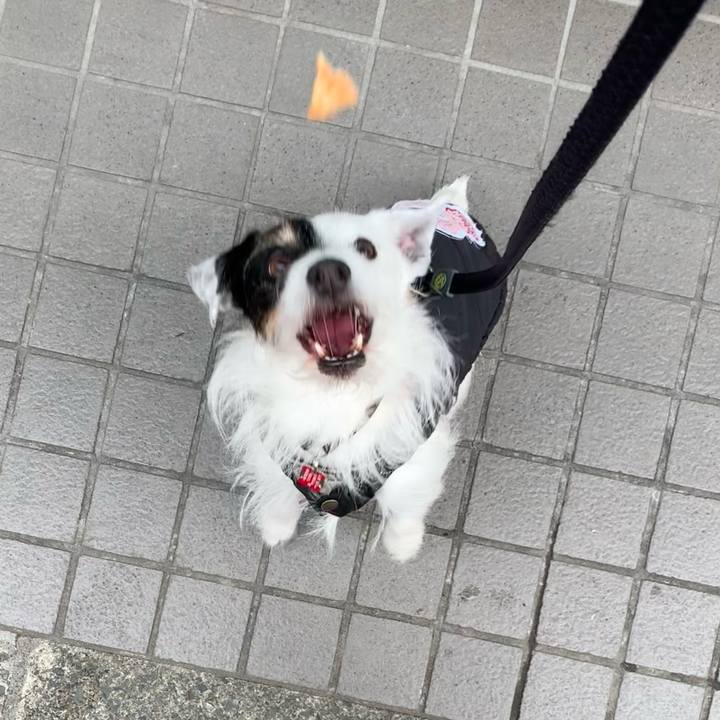 04b8dfce 9e5d 4478 857f 8a1de52db5e2 1709861953304