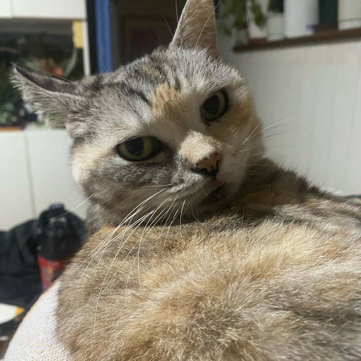 04b8f808 1098 4a42 b4cc dc8ee4b463d8 1728644286660