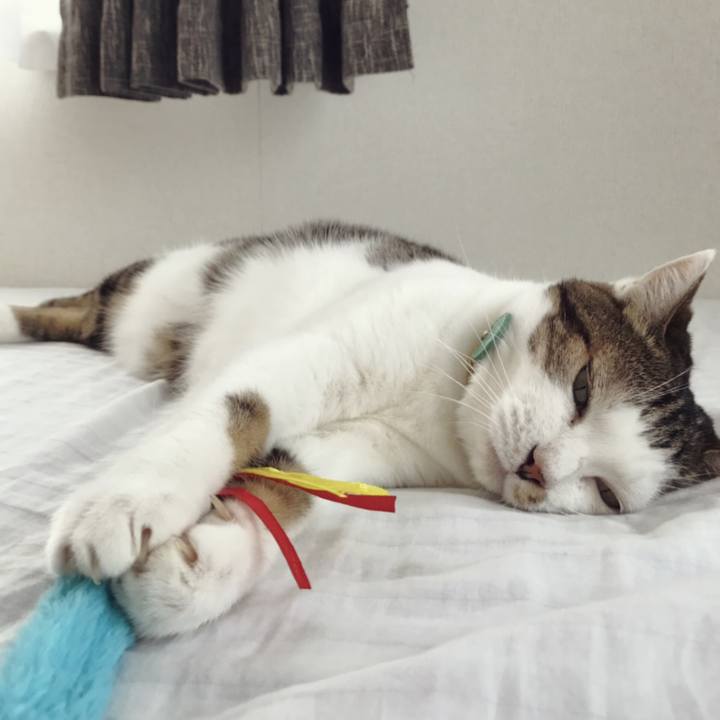 04b9029e 47a4 4dca 8553 7e79fbed4449 1569121519937