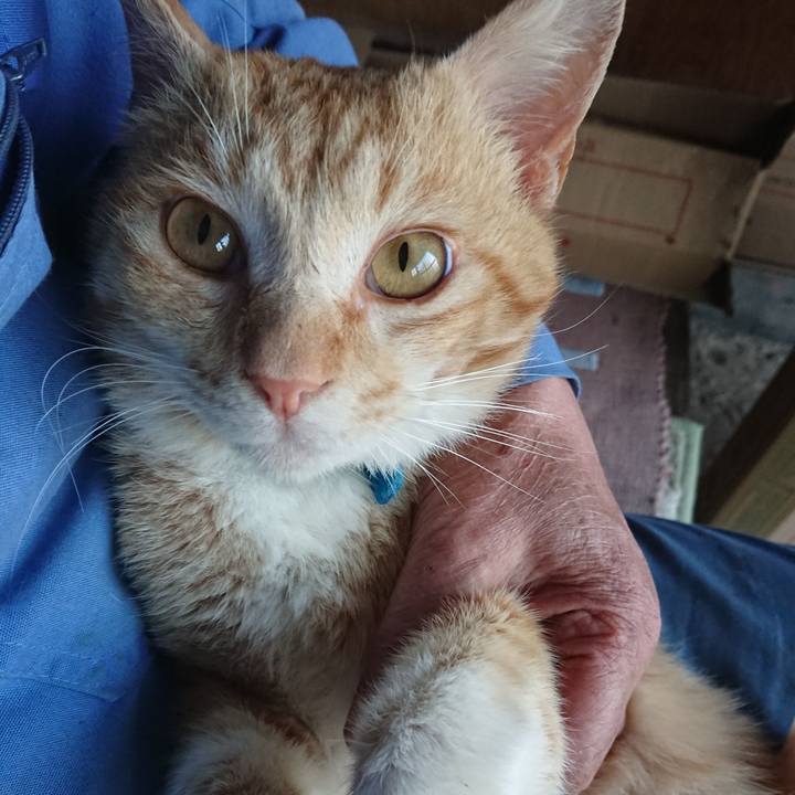 04b92848 0ef3 4531 8a33 fc76f8f5003c 1556351538481