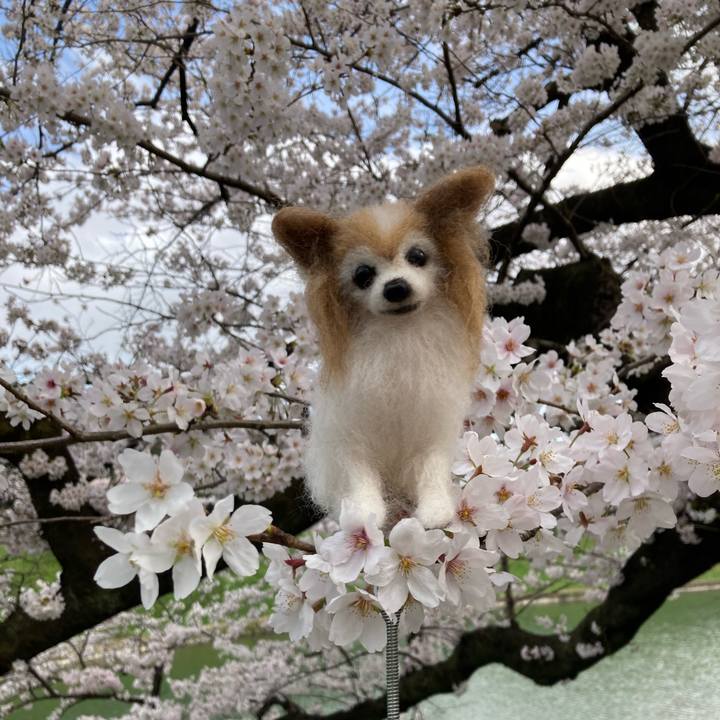 04b953e5 dd0f 454a 983d 5a1beefcb154 1648692263912