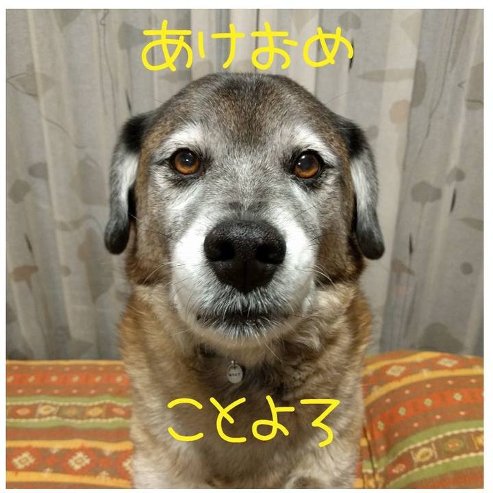 04b9548a 10a6 4261 a09a 5017cc11bf19 1609461498644