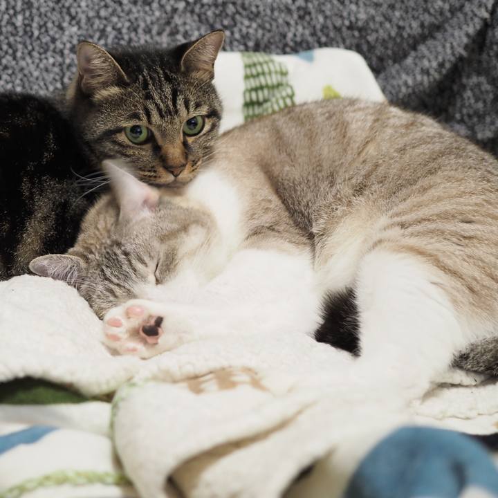 04ba168f 298f 4ce3 97c1 14c25e7b555d 1603364627726