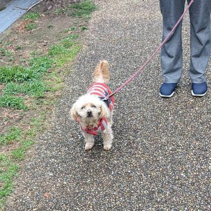 04ba2bc0 cf66 4c44 ab99 927596b66d86 1741774904900