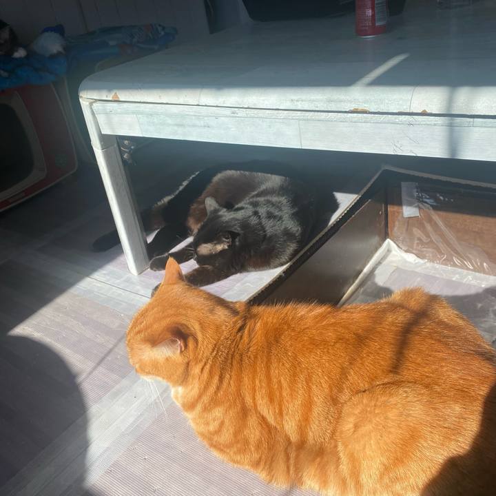 04ba5f1d 5465 4169 a27f 2fc5670a12d5 1637719779102