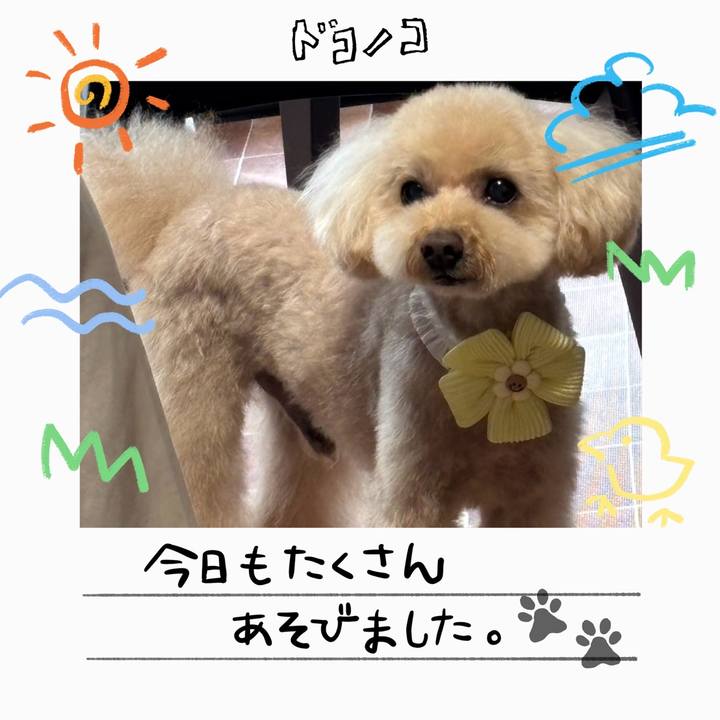 04ba640f 2f63 4cc5 ad09 16d8915d48b5 1755160033333