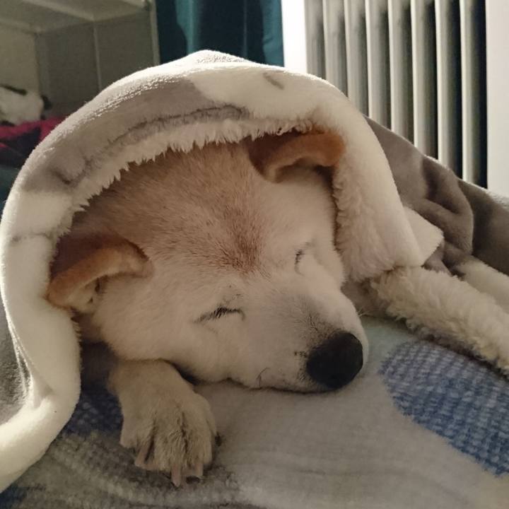 04ba673a 00a1 4a03 aab8 8b8a861a2300 1580118049927