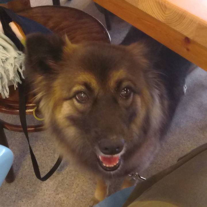 04ba8b94 c2d4 4060 9b75 29e180fe1d8c 1762144452181