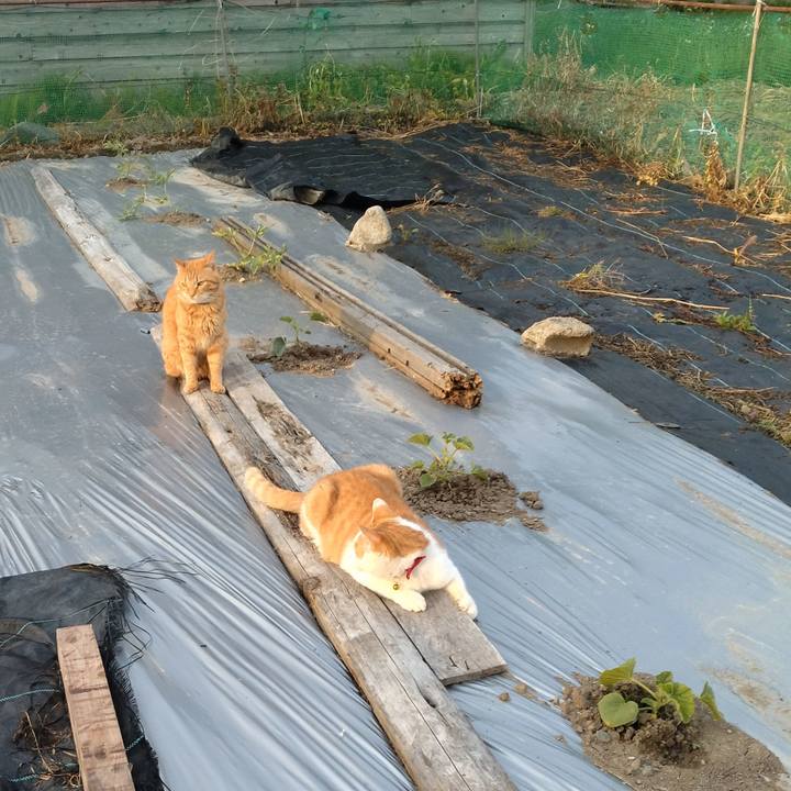 04ba9a2e 0fcd 49a1 8226 1ea7a1deb577 1748473000750