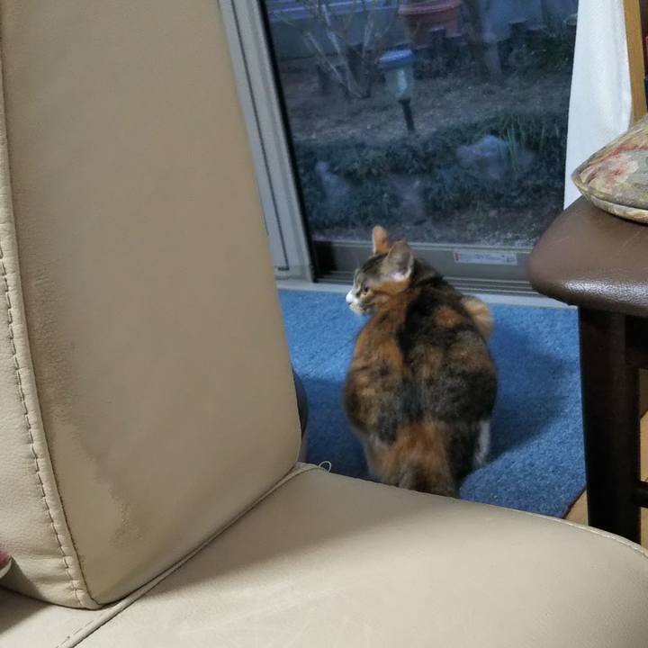 04baa44c 55e9 4c5c a0bd c4b6f4eccaa4 1643239641238