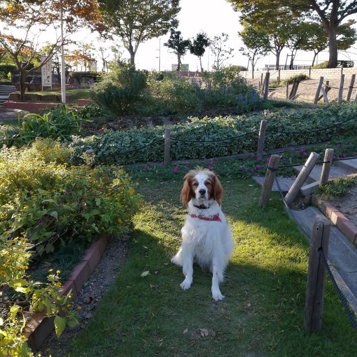 04bab140 81c4 4faf b1ff 4f87e2d053de 1602763375883