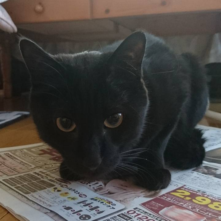 04baece6 a14b 4925 a9c7 d95671cbb4a5 1556406601357