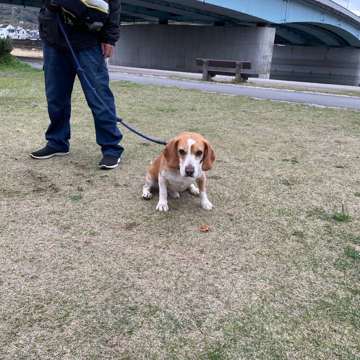 04baee37 3bd0 4ab5 9177 441a8c3b73cf 1679479285469