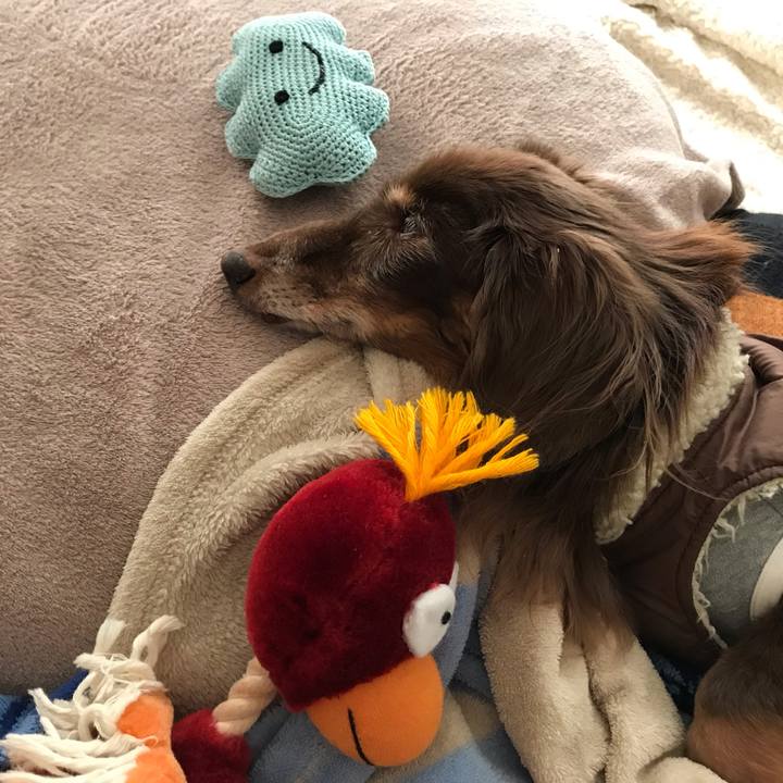 04bb412d 8b09 4105 b5d1 261eb17ec258 1545872797504