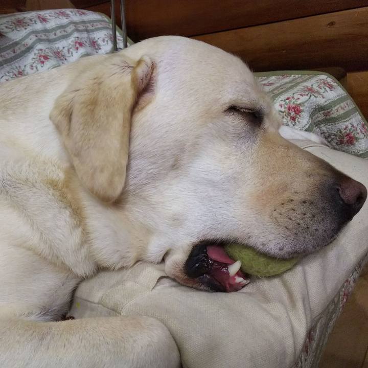 04bb7463 3eea 4b40 882d 6151f665d16e 1537432758502