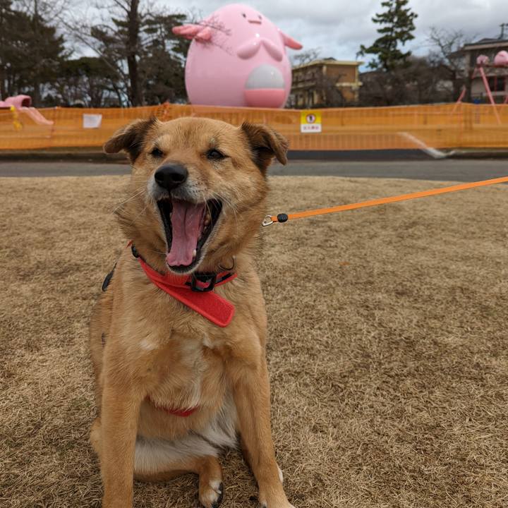 04bbe77e ac45 4b6b a763 59e93cc0ebc7 1647692434434