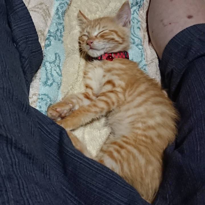 04bbf107 b04a 4564 96d5 1fa54389f0bd 1628253696312