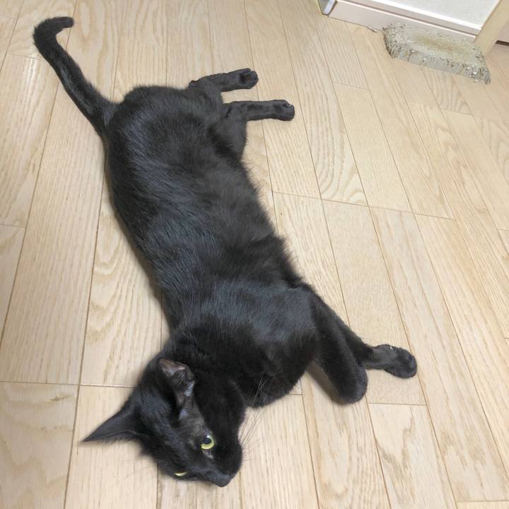 04bc46e5 7033 4569 a82b be67c0bb9ef4 1595246079503