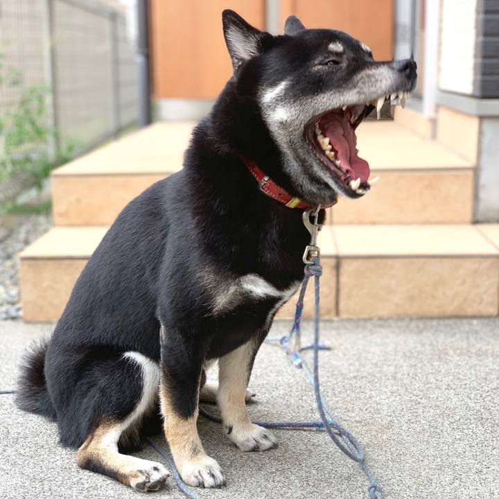 04bc566f 1cf3 4c5c a490 1be524edaf48 1569641221872