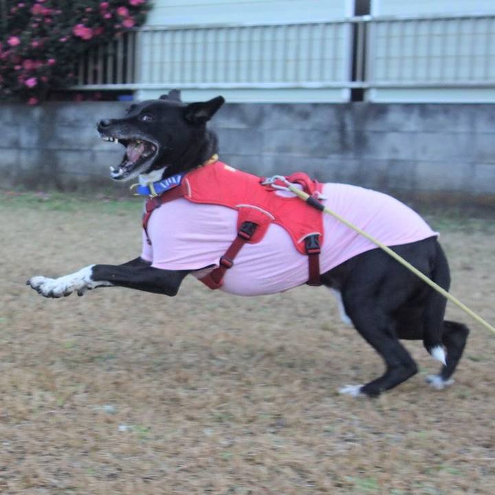 04bc5d44 db1c 49fd 91cb 2e9453fe370d 1670634638128