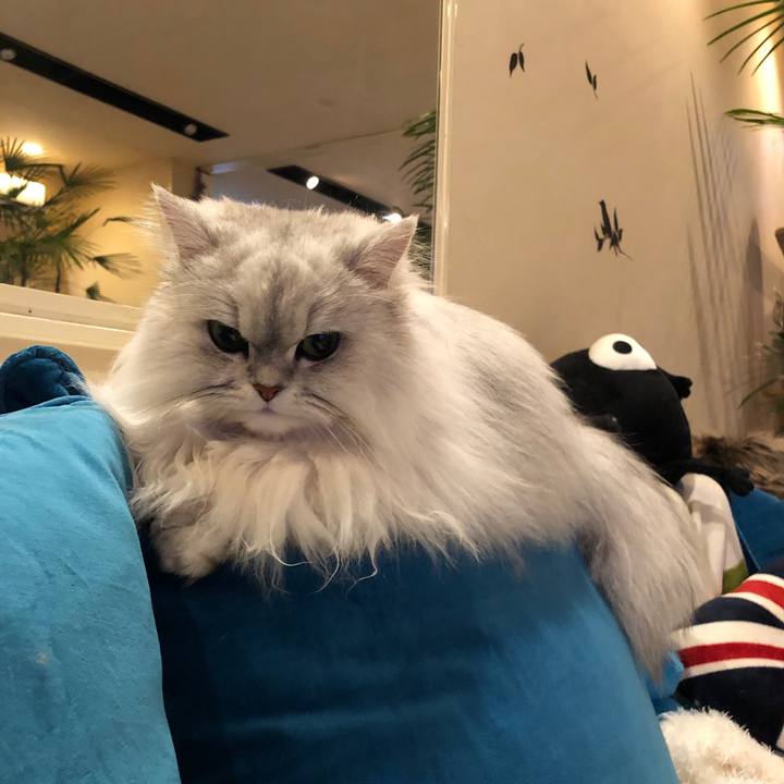 04bc5d7d a4c3 420d 8e72 a57391870af8 1552088560906