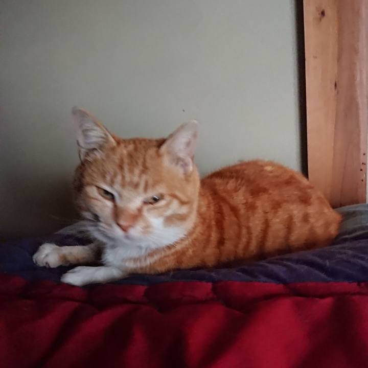 04bc6531 fe0b 466e 9775 774f7b44c753 1583646453031