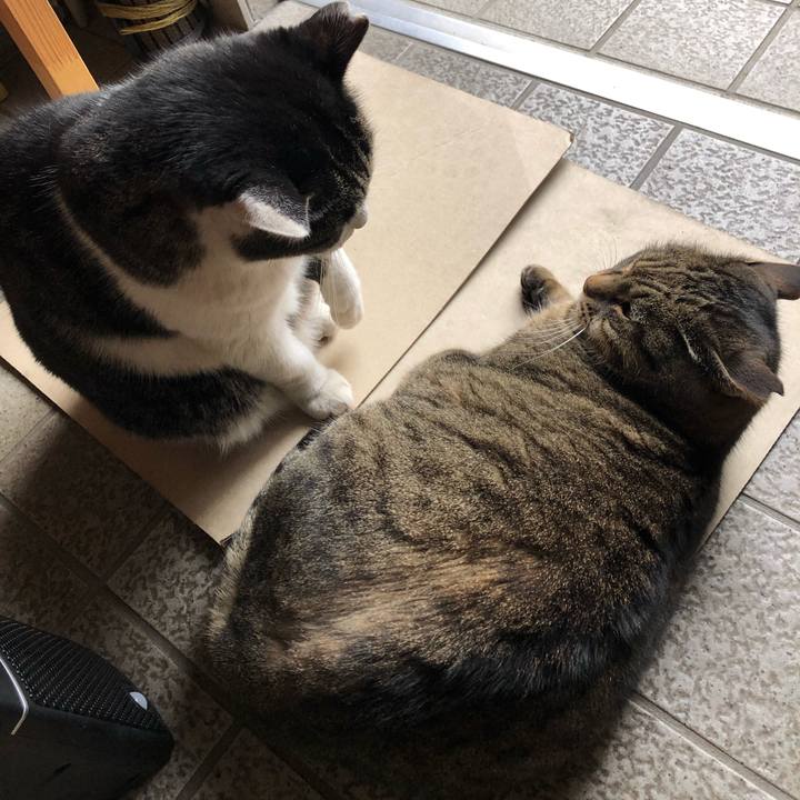 04bc8d6f bef0 4ba0 a40c 8428ddd07bba 1606726414862