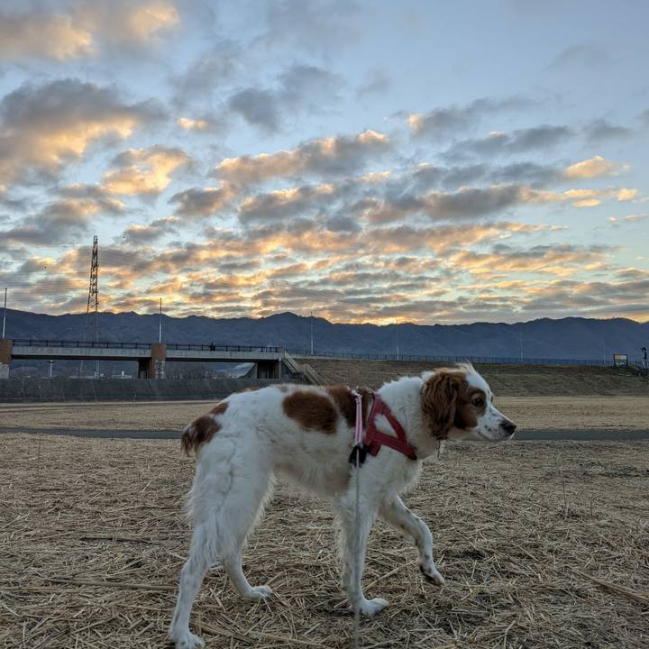 04bcb5db 7fb3 410e 8340 af05b22da15a 1643596473901