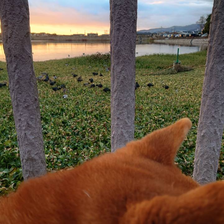 04bd1e66 fd87 4e60 abca 084ca11b202a 1767173408557