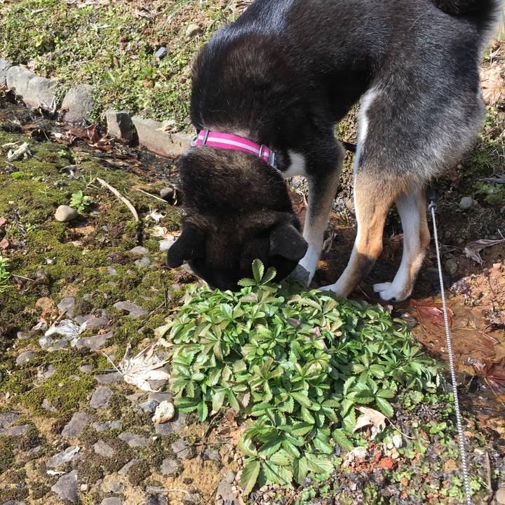 04bd2710 9ef5 4c86 851a 1bf399431342 1614506885474