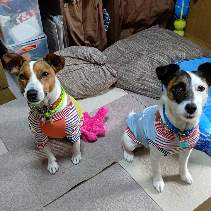 04bd3848 dbb7 48a8 9b0e c2c703531b07 1624061140331