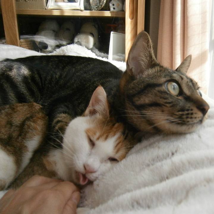 04bd5be1 3051 4d86 a268 27a8b10b8034 1509108456984