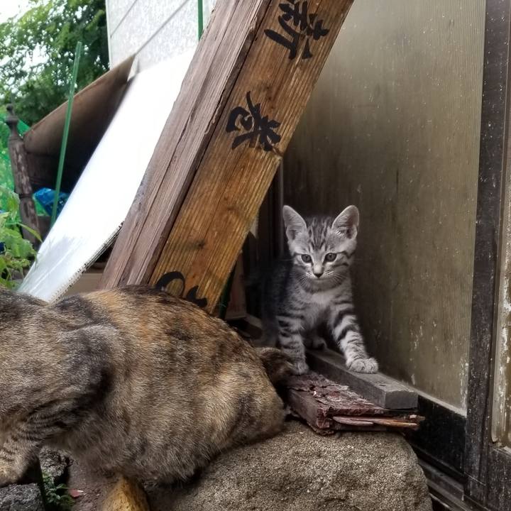 04bd7213 3205 4bb0 8b0d 28c6f78228cd 1691309776248