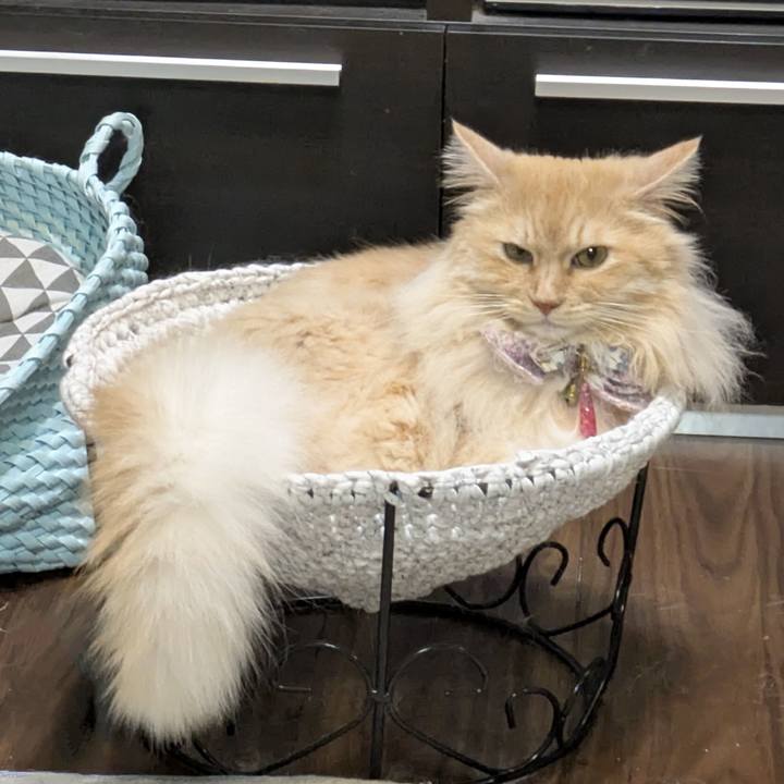 04bdb48e 50c6 4371 b92f 7abecf941325 1752757104145