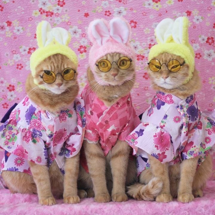 04bde2cd e7c7 42c9 9e24 5838d6f6df2b 1646253759010