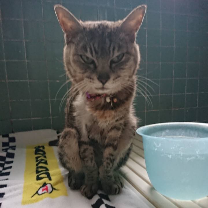 04be23cf 054b 4946 ba3f 31feb403335c 1593939905071