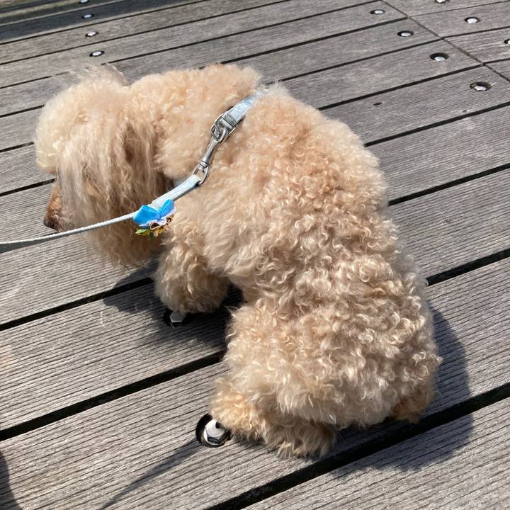 04be2580 9c1b 46fd 9b9b c17f4442263d 1651952270400