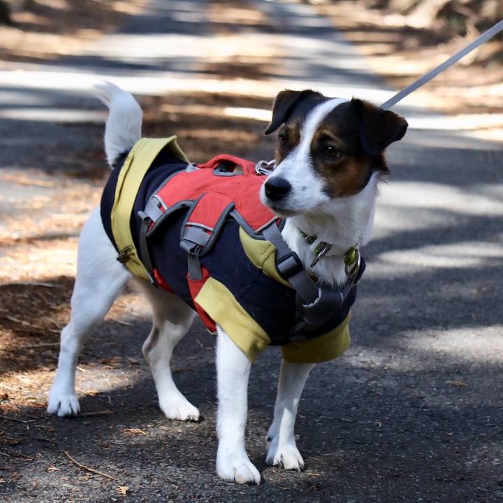 04be4bed 9585 4d7c 8d54 9afd56129868 1545828208348